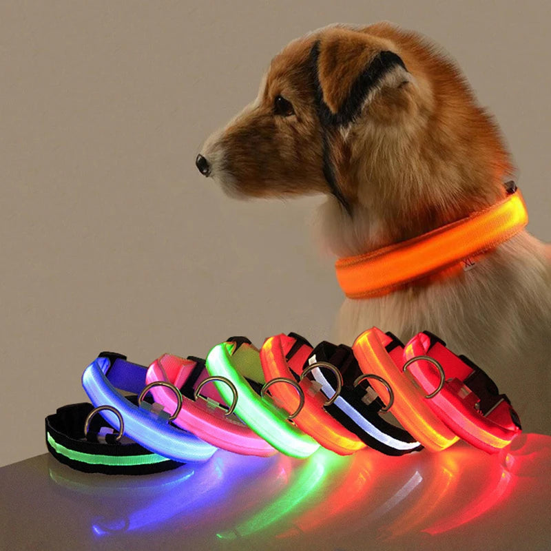 BrightPaws LED Safety Collar for Dogs — view 3